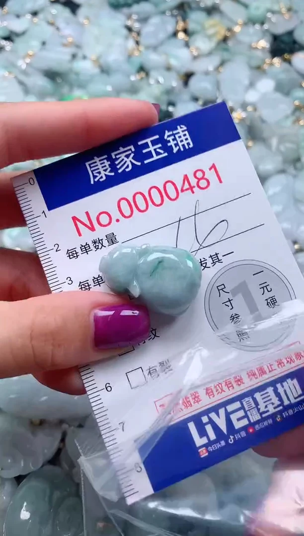 颈饰未镶嵌翡翠481