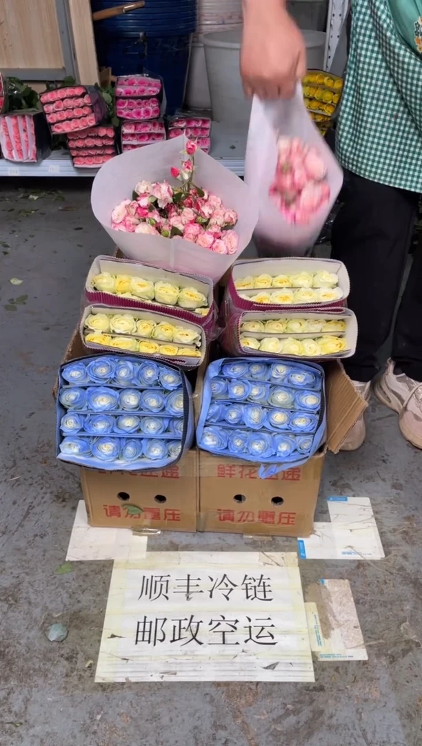 碎冰蓝20枝+奶油杯20枝+折射10枝