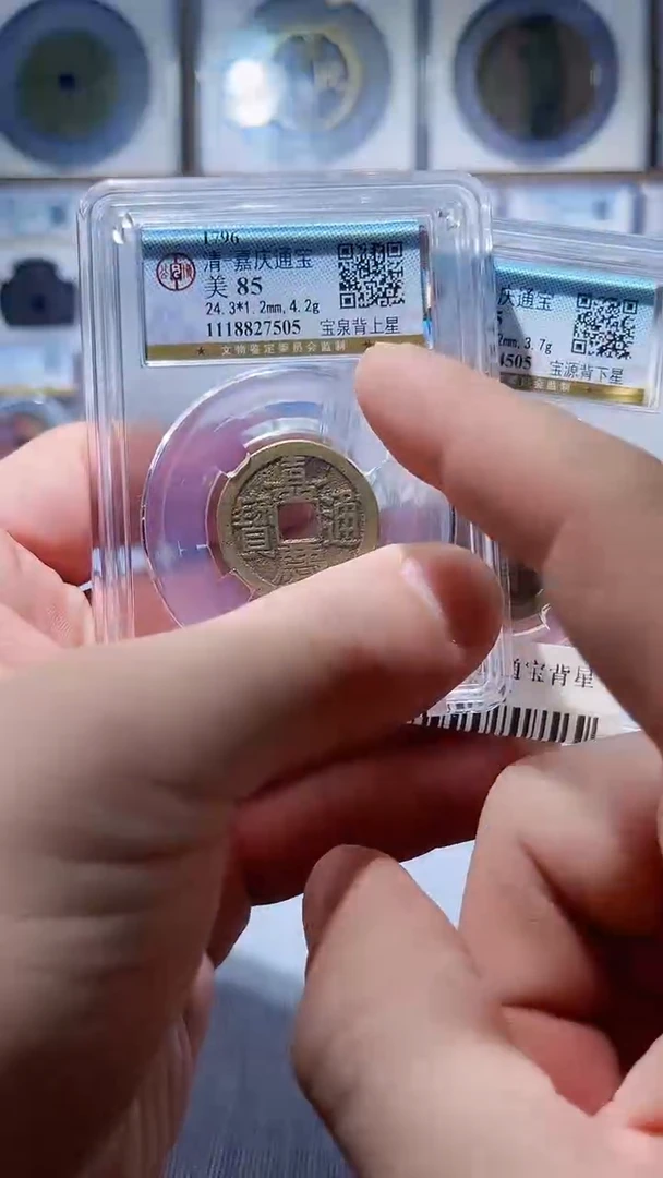 铜L091辫公博嘉庆通宝背上星85分