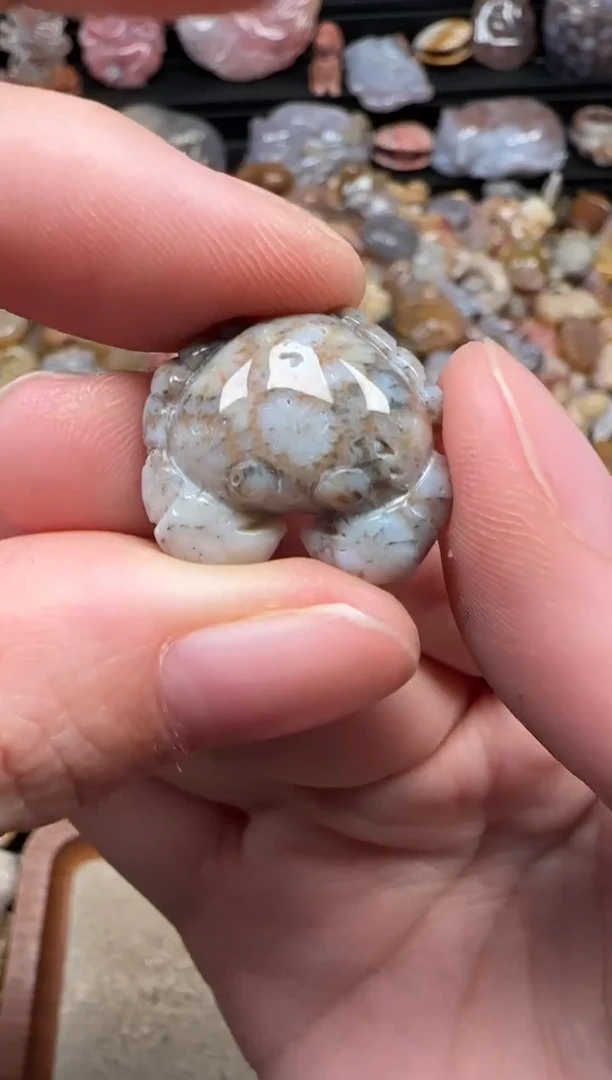 颈饰未镶嵌硅化珊瑚（珊瑚玉）069