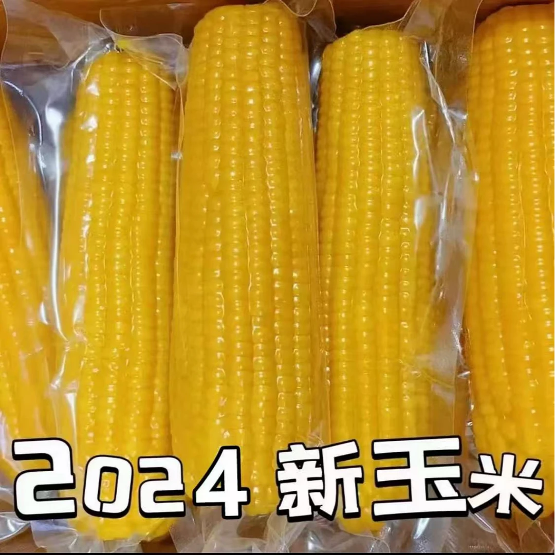 粉丝专享10大棒东北黄糯玉米整箱6-7斤左右