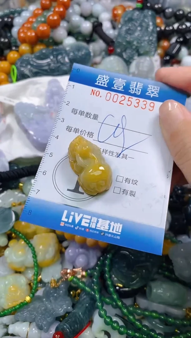 颈饰未镶嵌翡翠闪购0025339