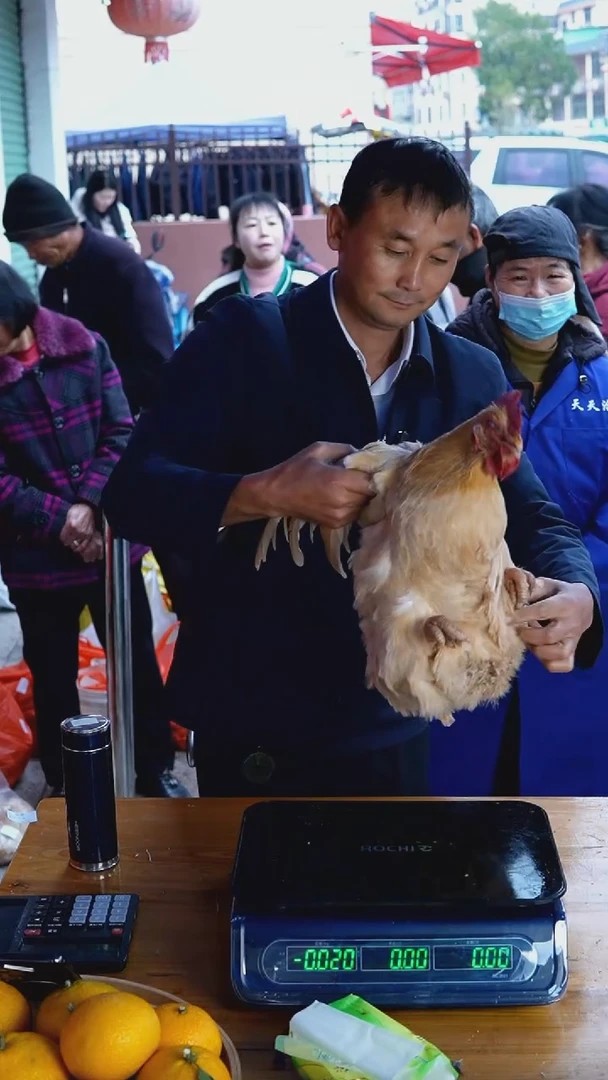 中国大陆老母鸡L02（5.5斤）