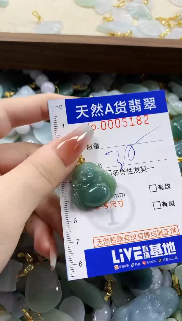 颈饰未镶嵌翡翠天然A货翡翠