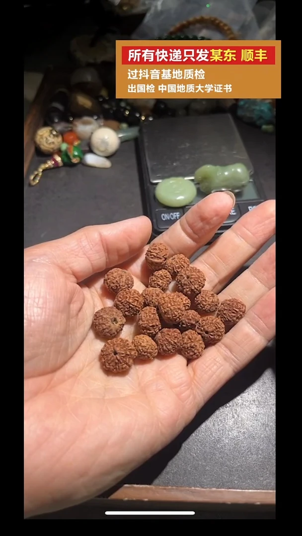 吊坠金刚菩提pz1008-6多瓣金刚约12-13mm八粒一起发货