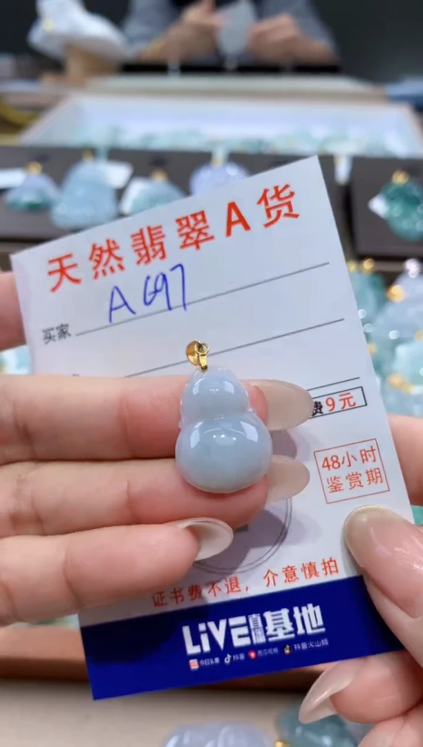 颈饰未镶嵌翡翠天然缅甸翡翠A货挂件