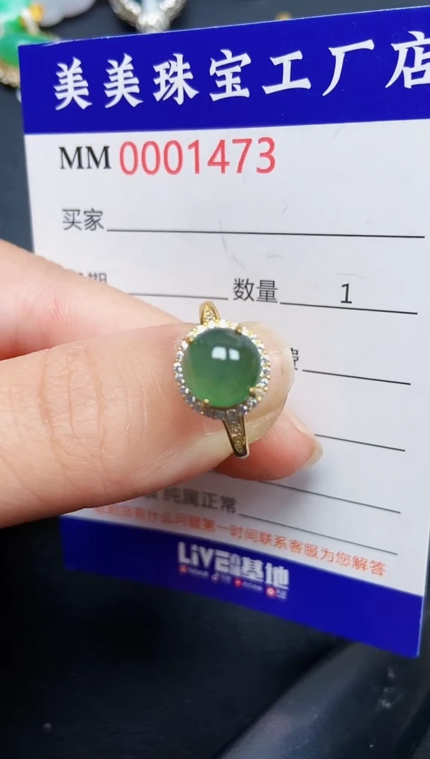 翡翠银S925镶嵌颈饰1473