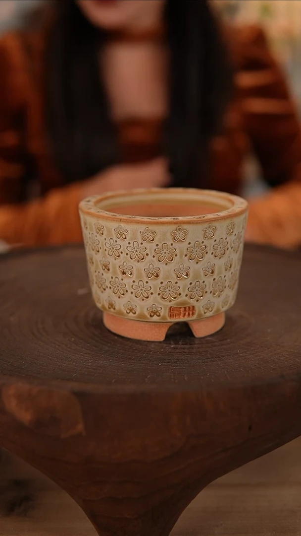 【闪购商品】陶瓷2-18-589默认有瑕口7.5