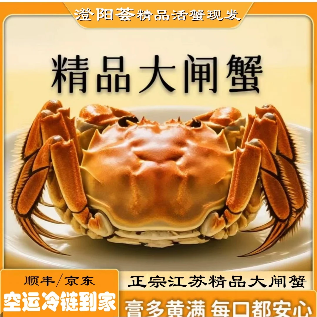 【活蟹】澄阳荟大闸蟹 精品  母蟹3.0-2.7两/只 10只京东顺丰