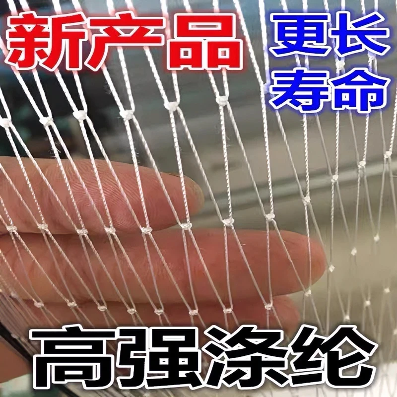 涤纶线防鸟网草莓大棚果树樱桃葡萄梨树蓝莓果园防鸟用网结实抗氧
