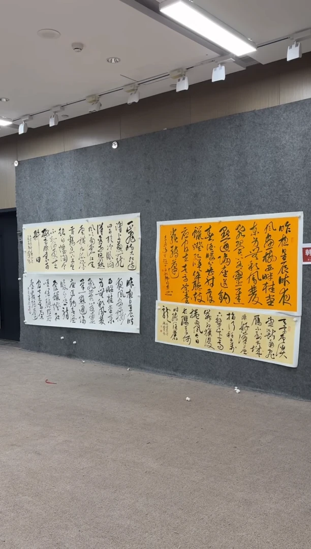 【闪购商品】书法pmw不二轩旗舰店书法韩明东22