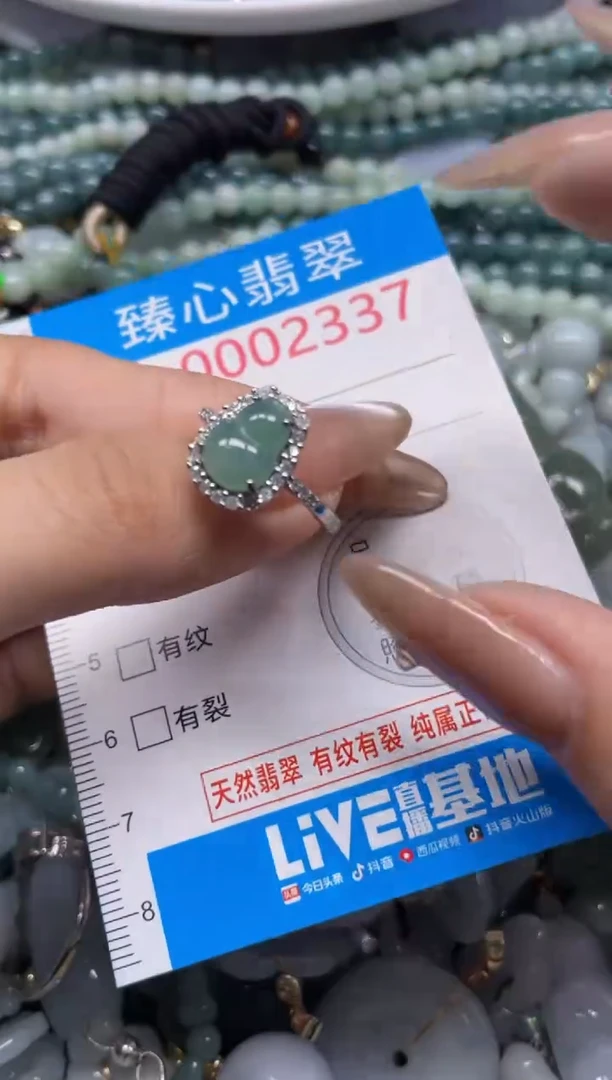 颈饰未镶嵌翡翠2337
