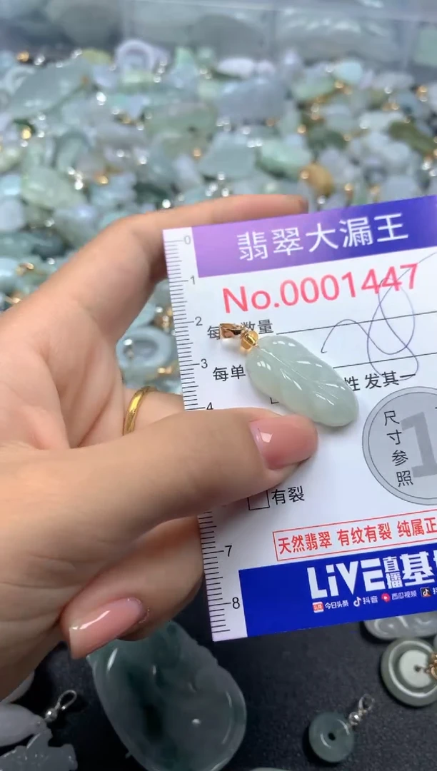 颈饰未镶嵌翡翠1447