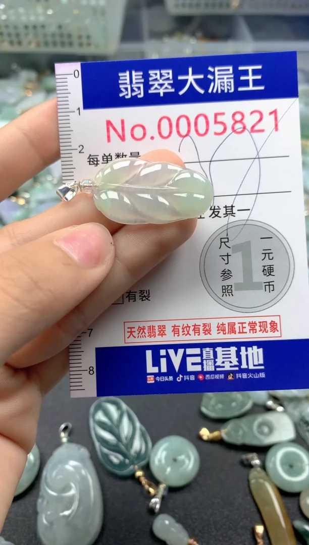 颈饰未镶嵌翡翠5821