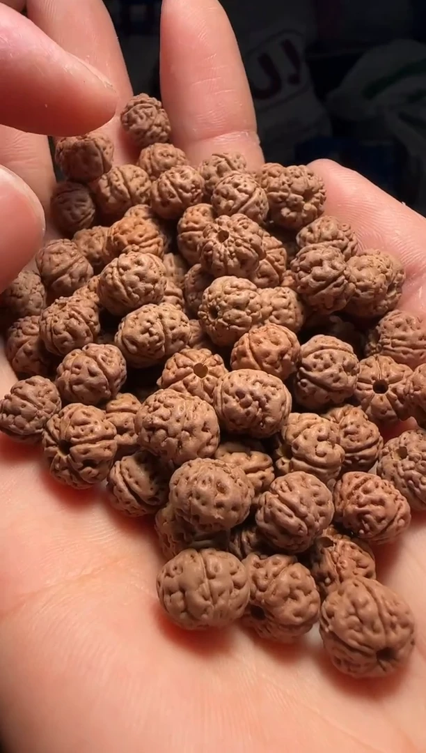 手串金刚菩提非全品老树王散籽9-10mm一份一百颗