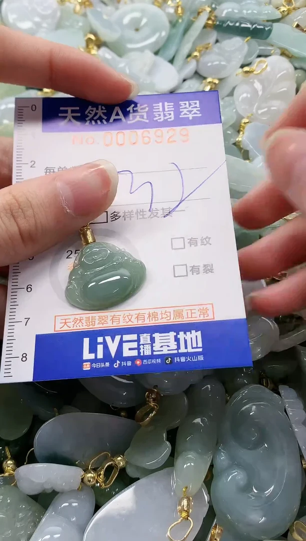 颈饰未镶嵌翡翠纯天然a货翡翠