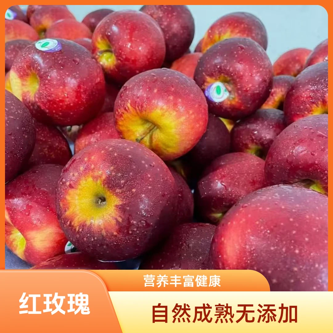 云南高原红玫瑰苹果现摘现发果园直发苹果新鲜水果