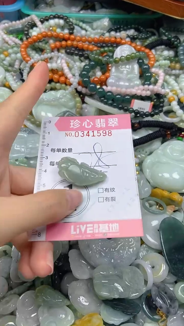 颈饰未镶嵌翡翠闪购0341598