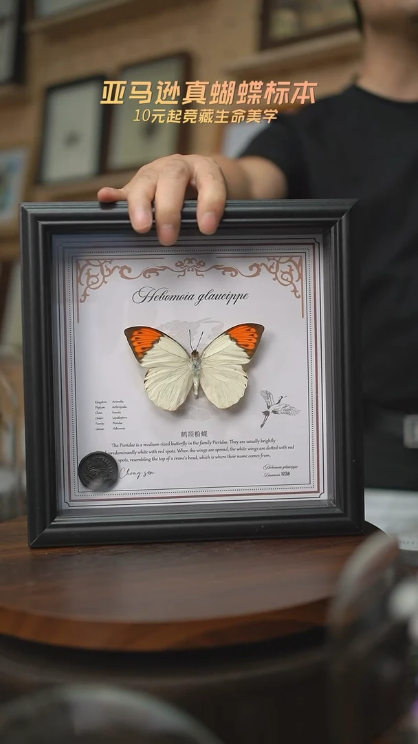 有机玻璃鹤顶粉蝶7寸方框