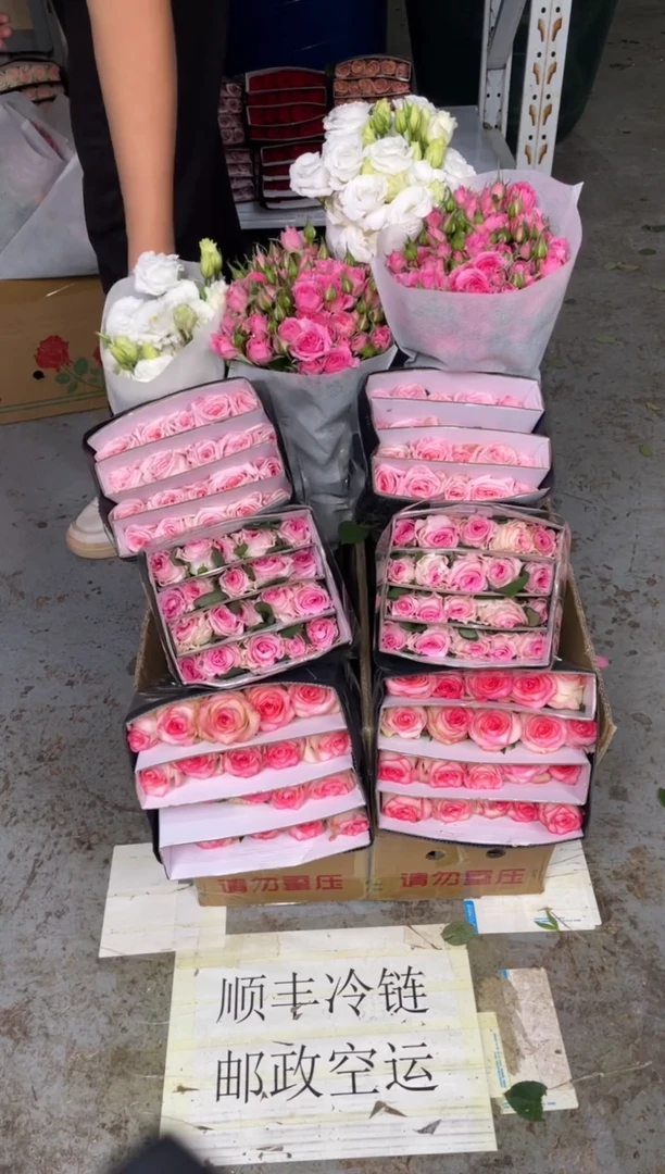 艾沙20枝+洛神20枝+粉荔枝20枝+苏菲10枝+白桔梗400克