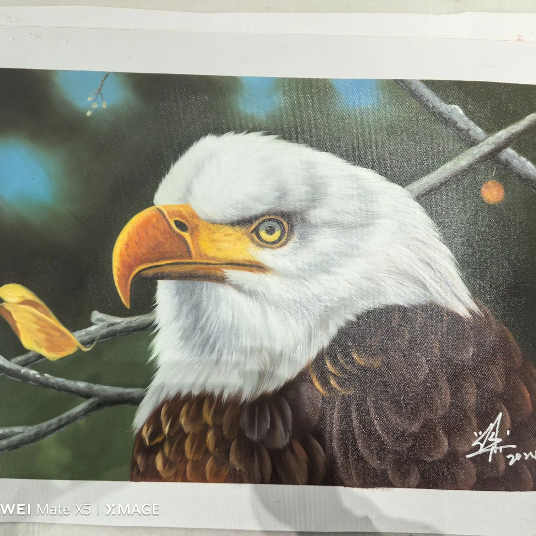 戴总专属——刘用华老师老鹰油画作品