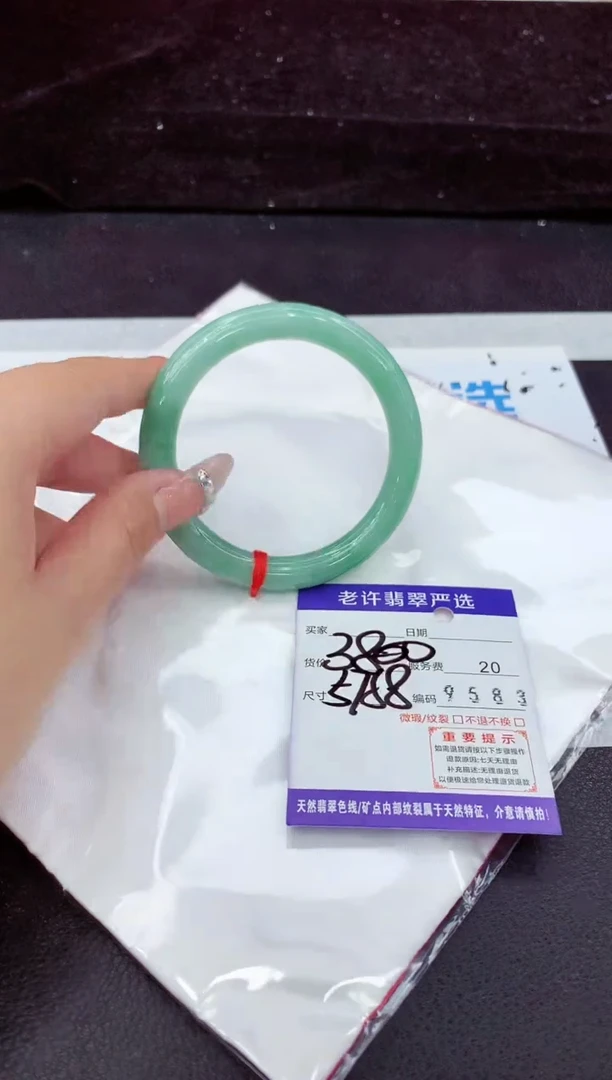 未镶嵌手镯翡翠11
