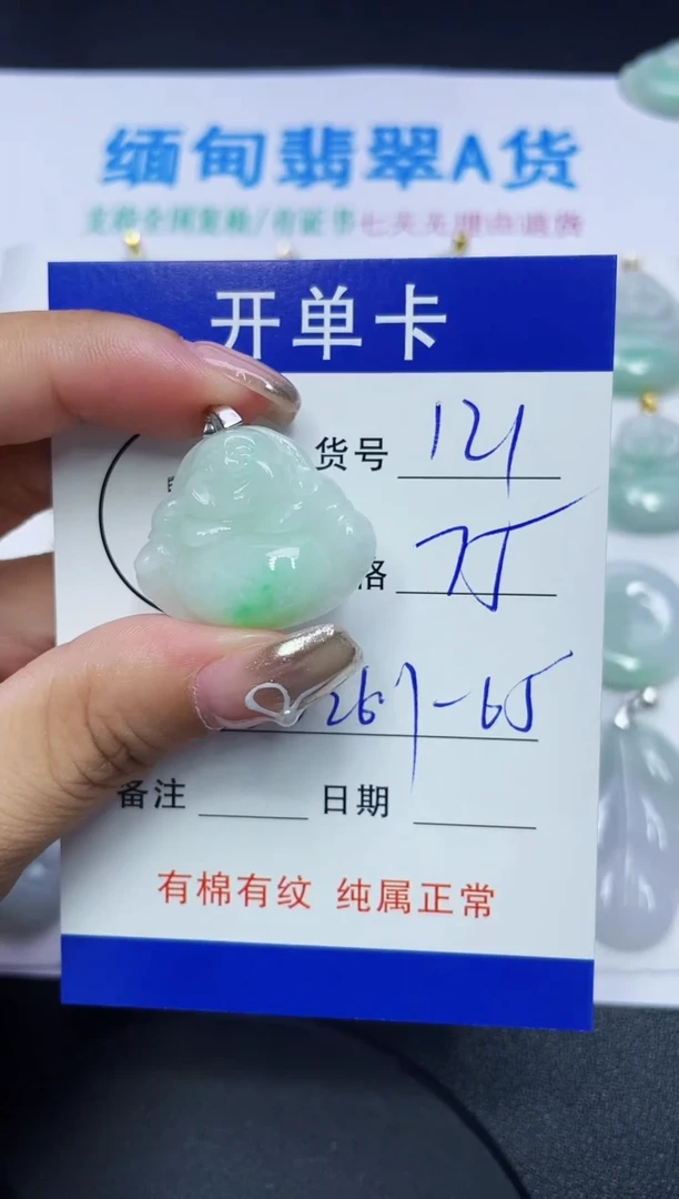 翡翠未镶嵌吊坠(赠链)121