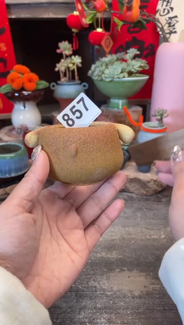 【闪购商品】摆件857知木小芳花盆