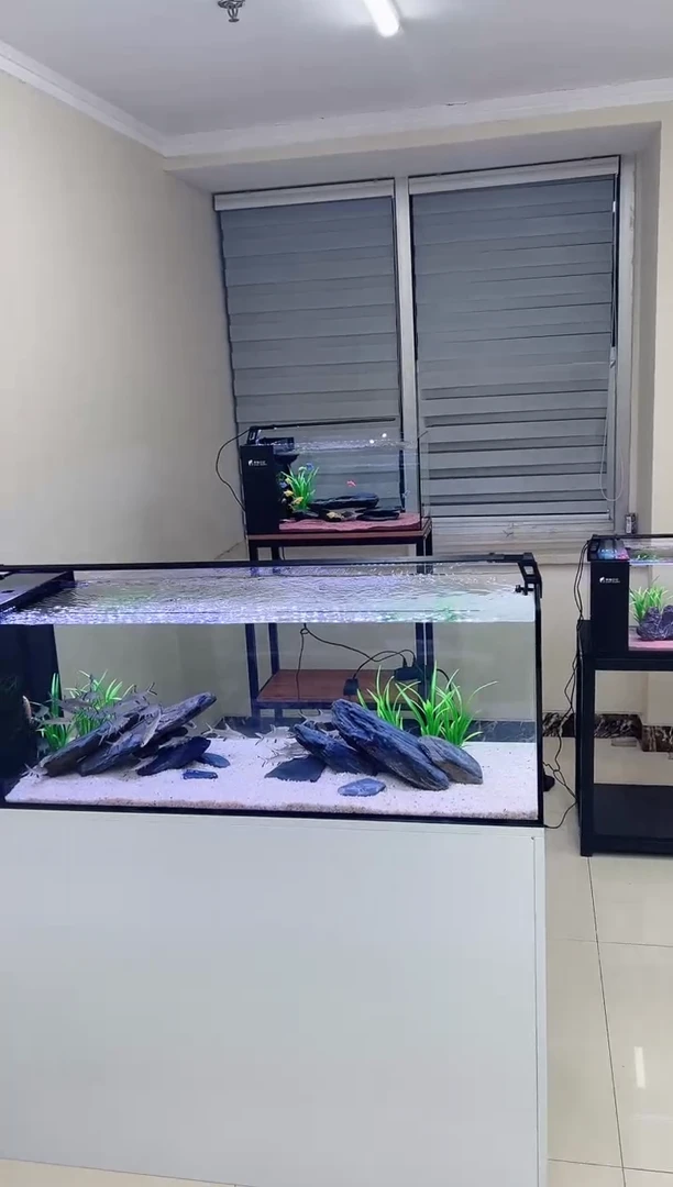 玻璃尊****所70*30*30