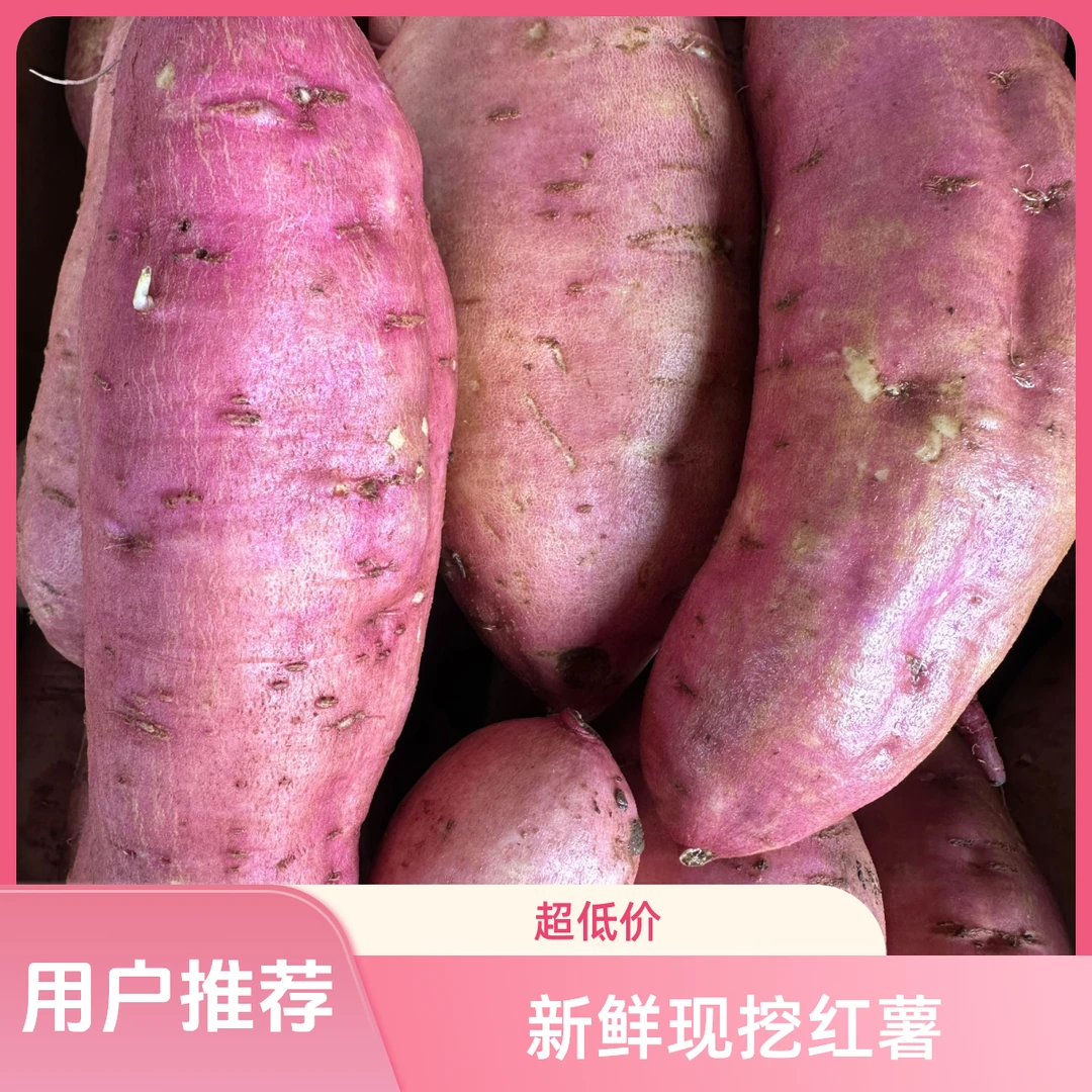 新鲜现挖沙地大红袍红薯软糯香甜正宗农家自种