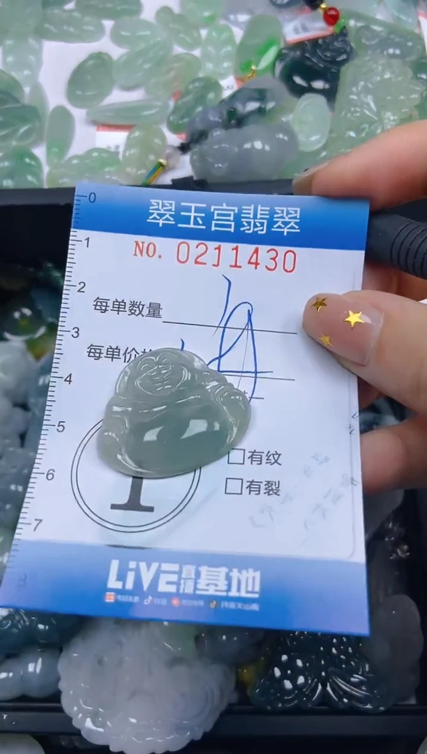 颈饰未镶嵌翡翠闪购C0211430多样性发其一