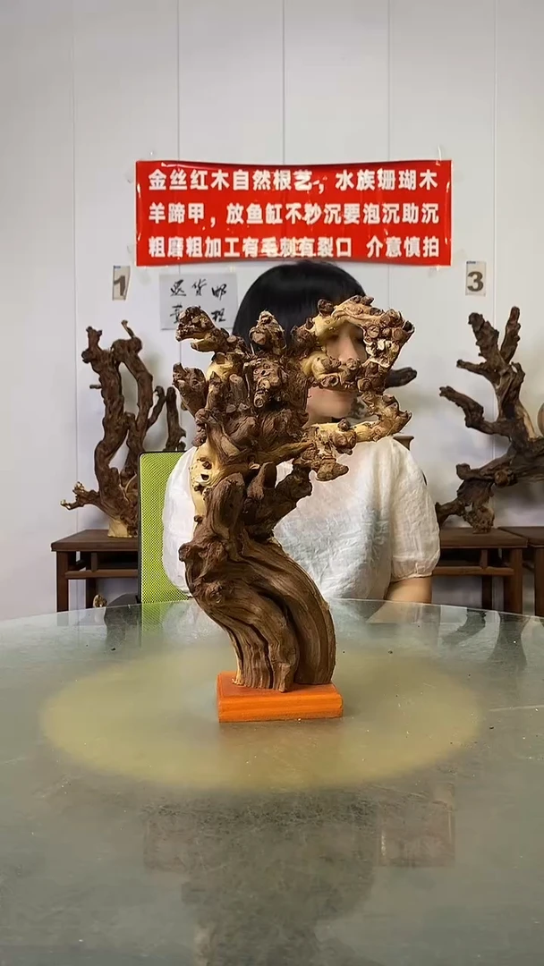 香榧木名****）金丝红木   羊蹄甲