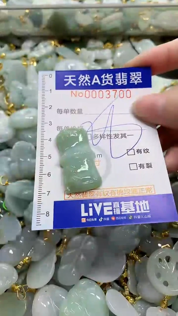 颈饰未镶嵌翡翠天然A货翡翠