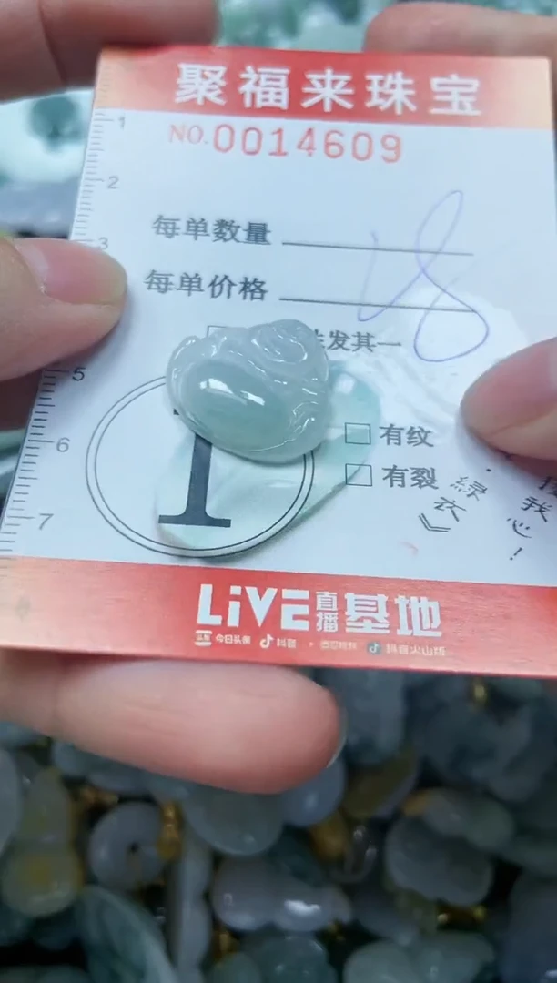 【闪购商品】翡翠颈饰未镶嵌闪购0014609