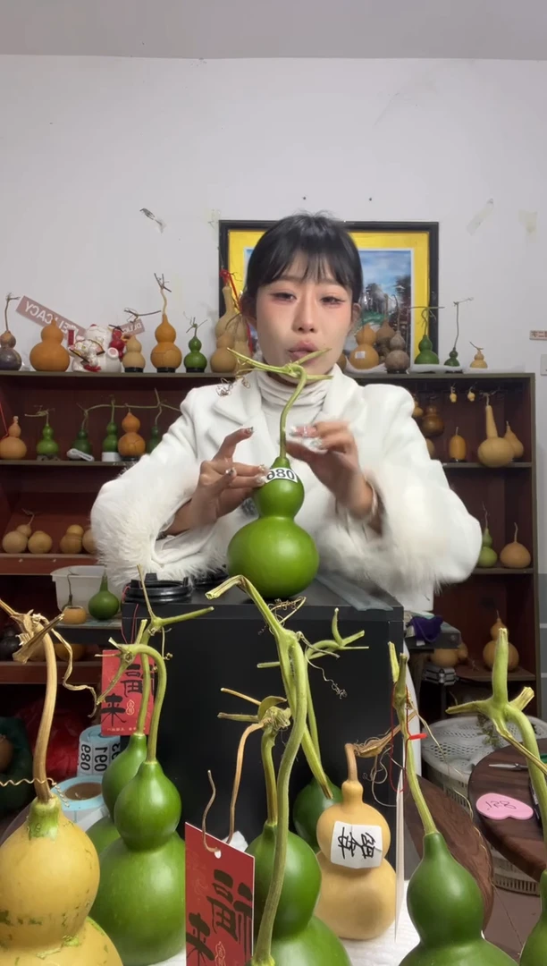 086天然葫芦摆件 一物一拍龙头不保售后