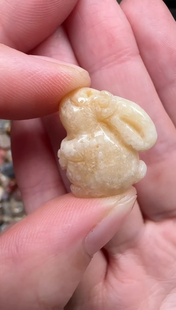 颈饰未镶嵌硅化珊瑚（珊瑚玉）783