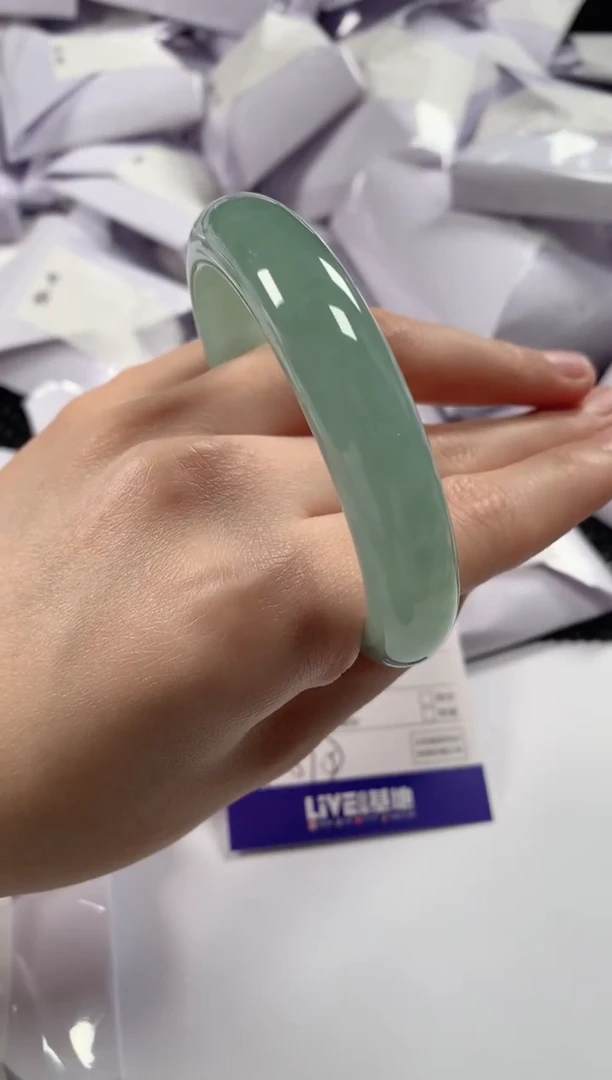 颈饰未镶嵌翡翠C****v1