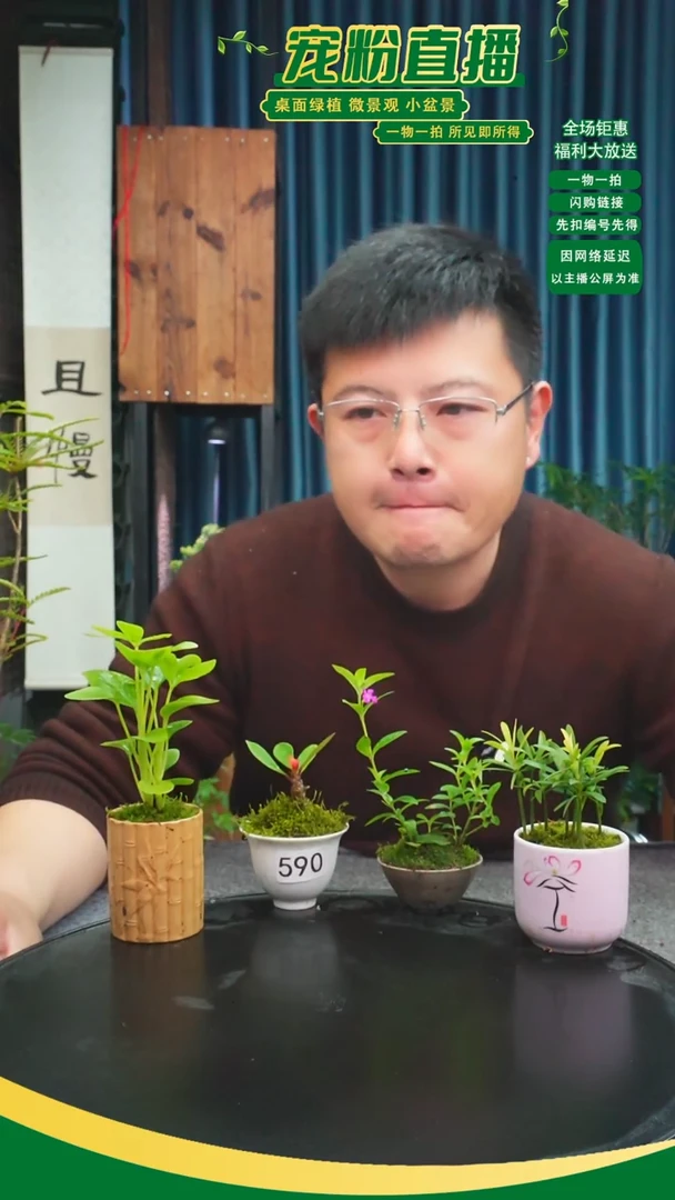 无花朵信****）苔藓微景观590号