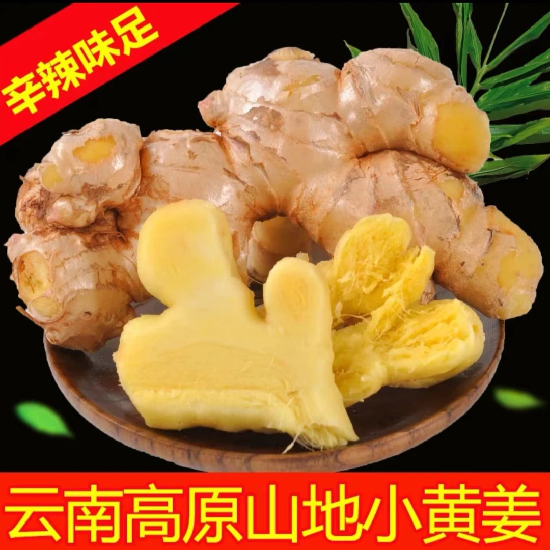 云南正宗小黄姜新鲜现挖老姜香味浓郁辛辣适中蔬菜调料产地包邮