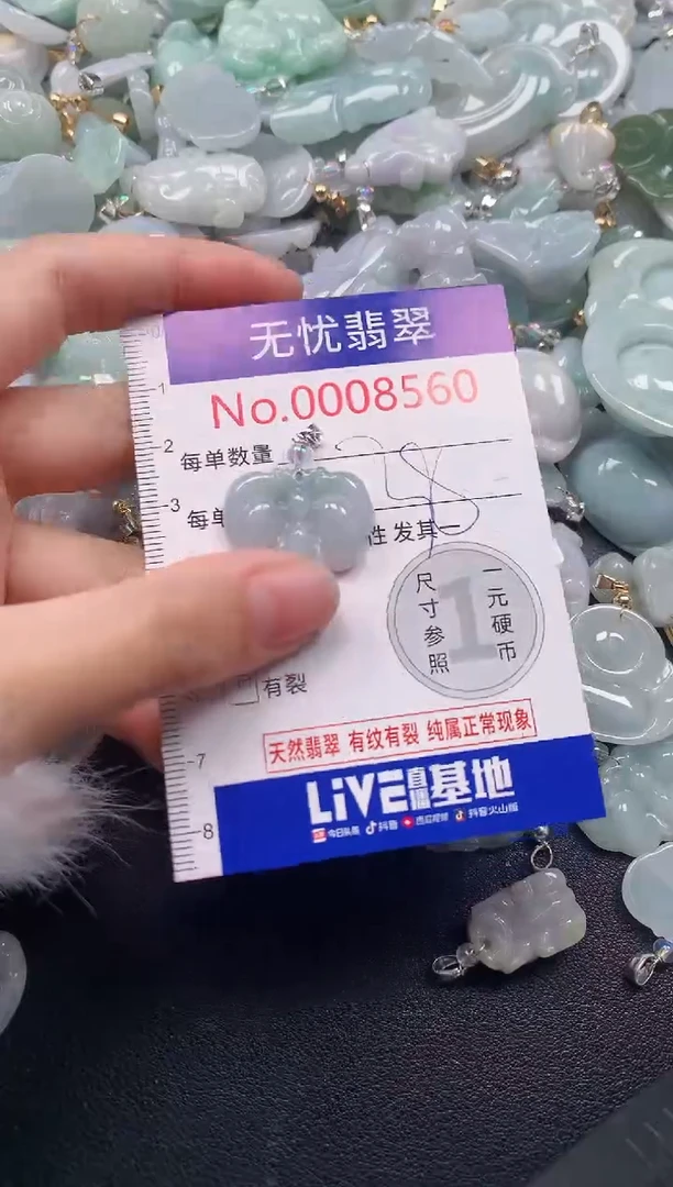 颈饰未镶嵌翡翠8560