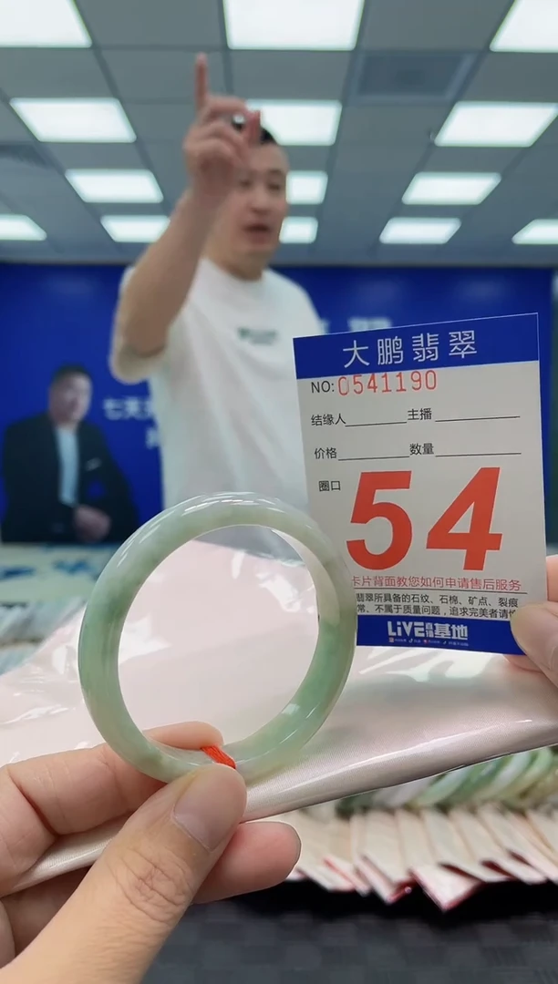 未镶嵌手镯翡翠AAAAAAAAAA