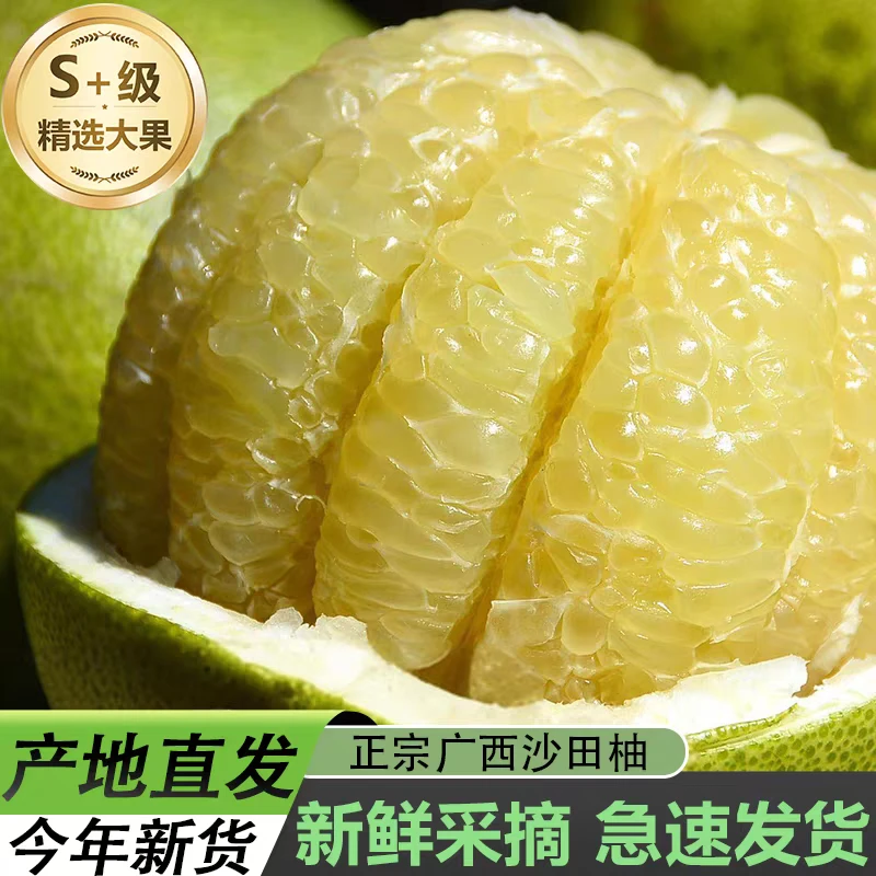 无品牌（老广拍）老树容县沙田柚绿色食品当季水果原产地果园直发