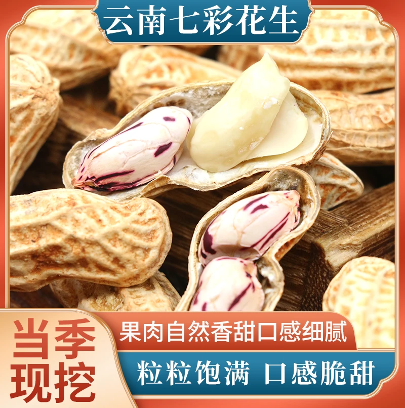 云南七彩花生当季现挖采摘新鲜水果花生水洗不带泥人工挑选