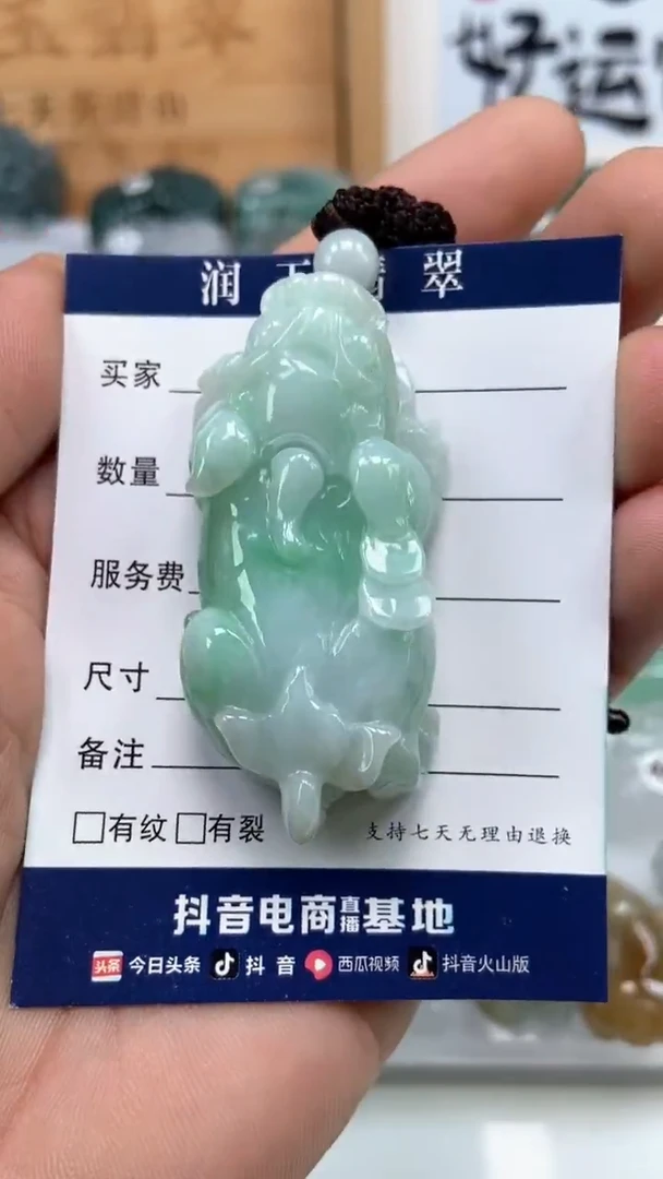 翡翠未镶嵌颈饰多人如意貔貅