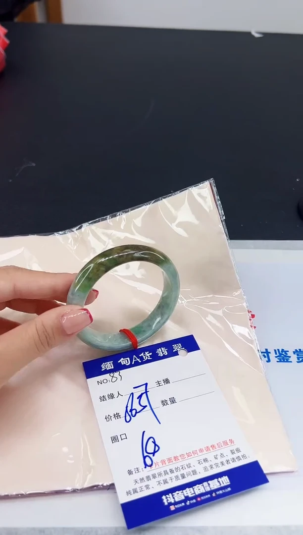 未镶嵌手镯翡翠11111