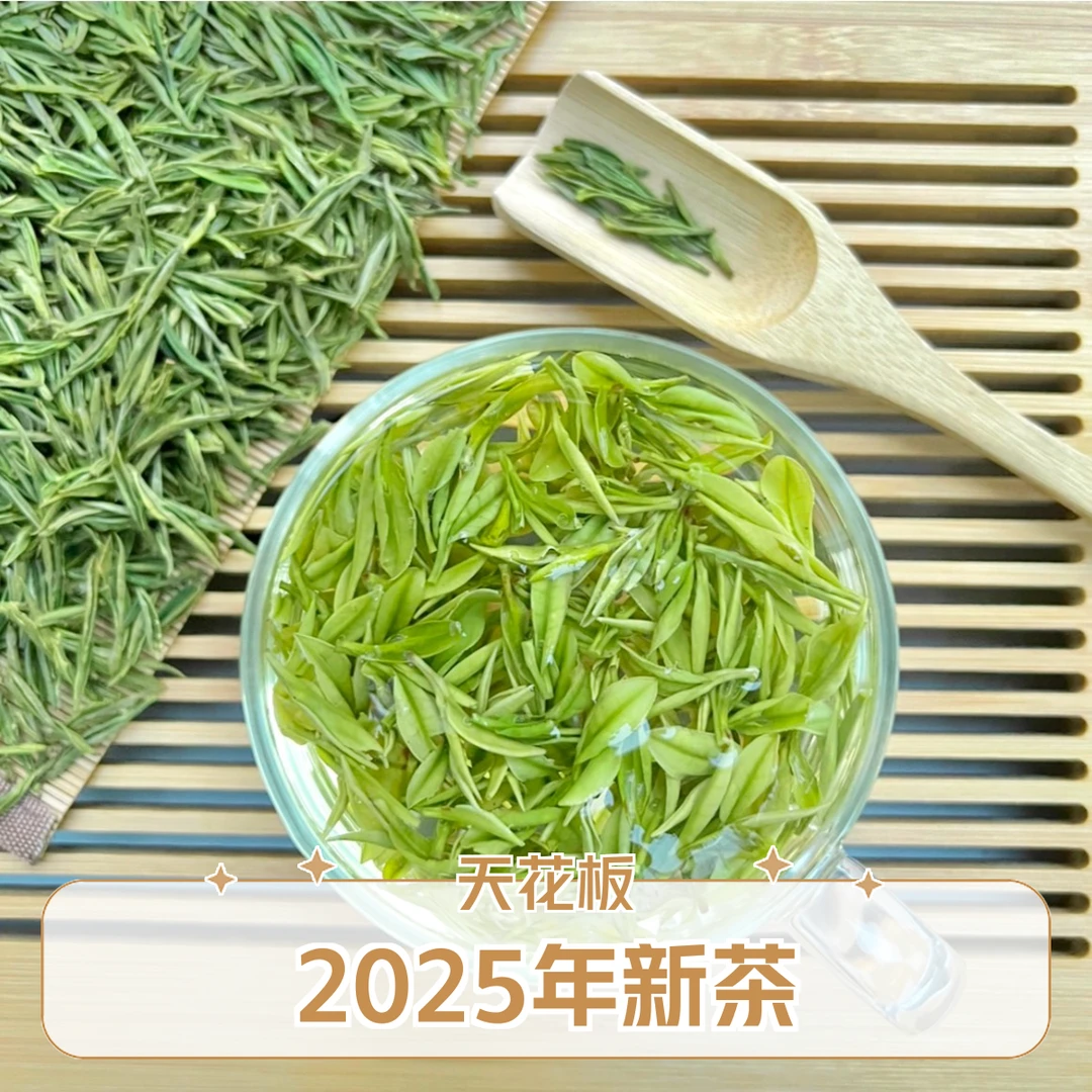 【兰香顶芽】25年新茶原产地绿茶头采茶特级绿茶安吉白茶