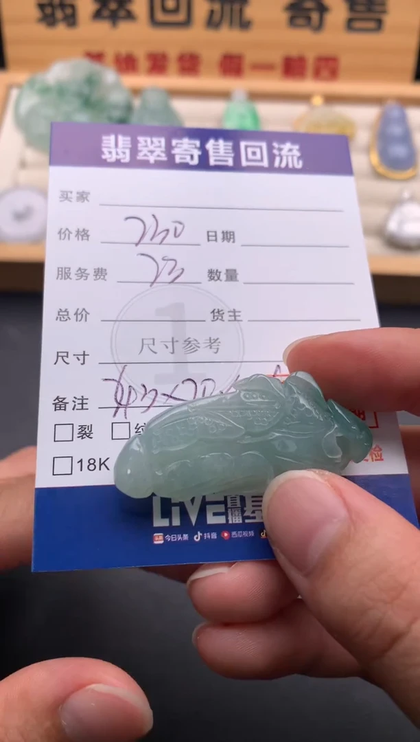 颈饰未镶嵌翡翠10145952