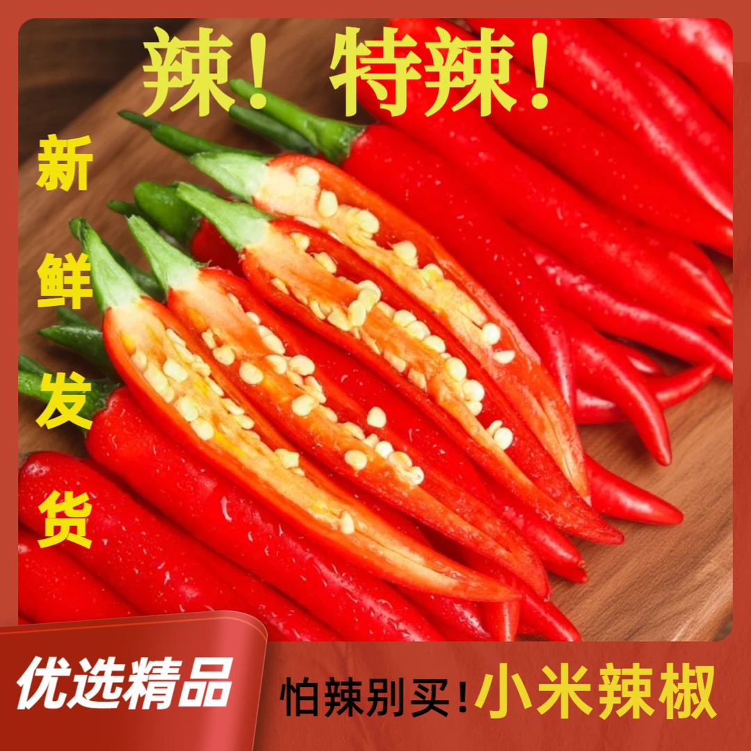 云南特辣小米辣新鲜专用剁椒高山朝天椒新鲜薄皮小米椒美人椒辣椒