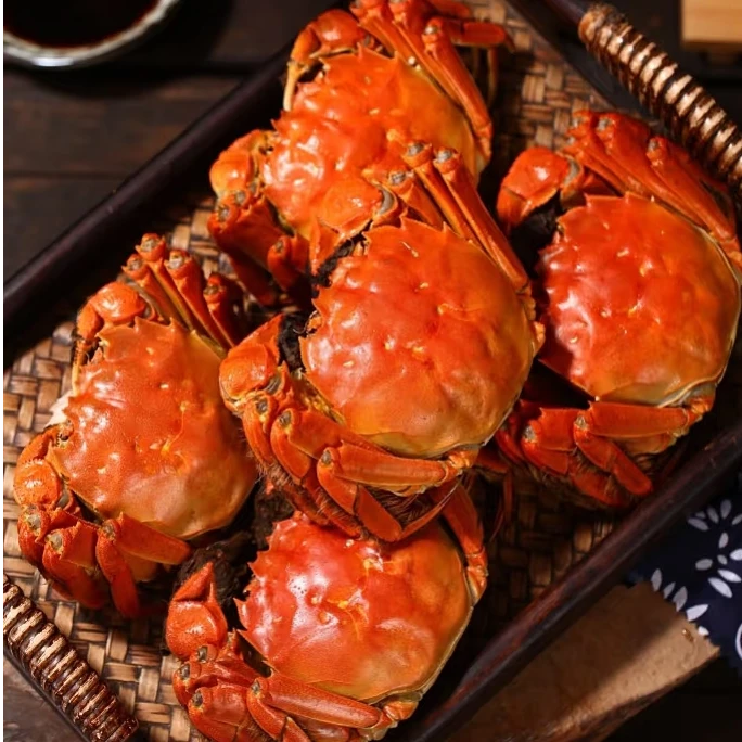 【活蟹现发】江苏大闸蟹公蟹5.0-4.7两母蟹4.0-3.7两共 6/8/10只京东顺丰明天到