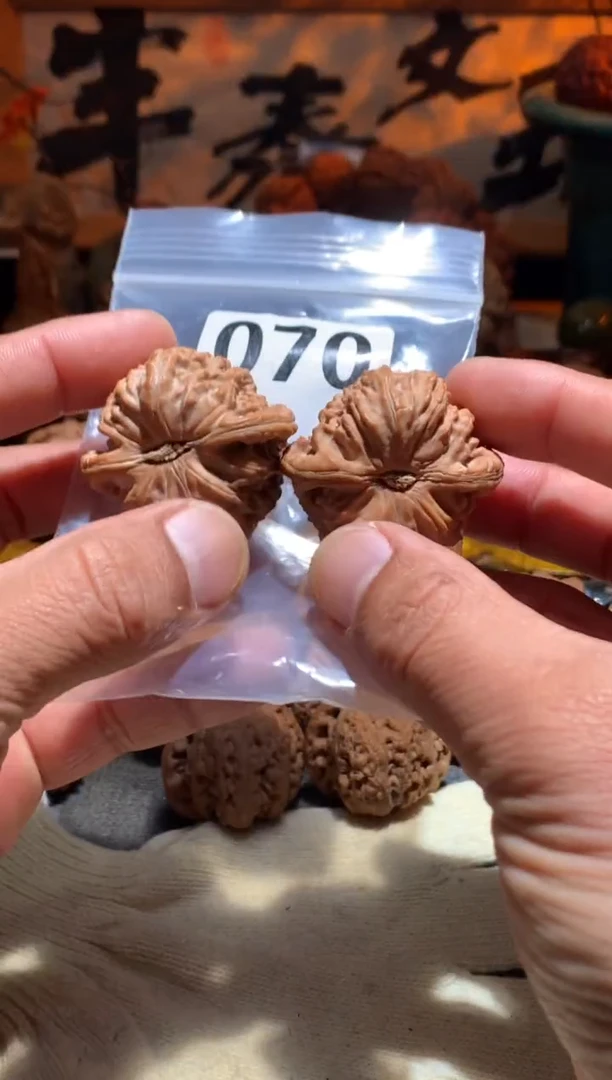 把件桃核?**?070号 白狮子42 尺左右盘玩打底不支持退换